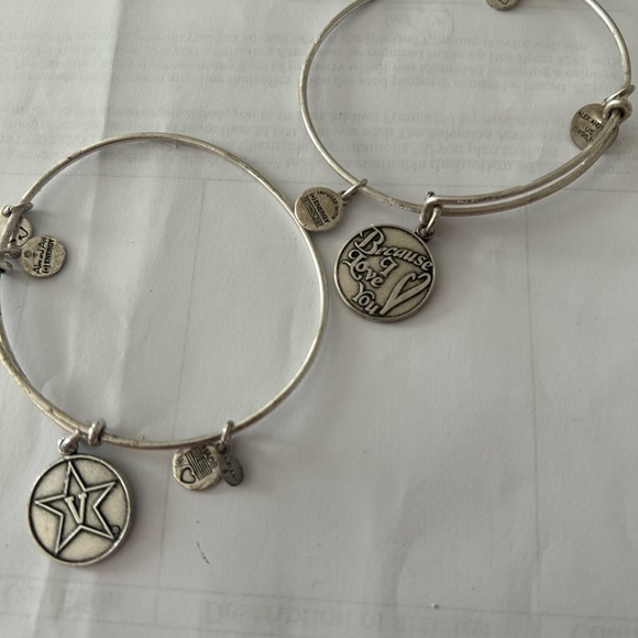 ALEX & ANI Bundle Silver Charm Bangle Bracelet Set w/ 8 Styles and Designs - Picture 5 of 9